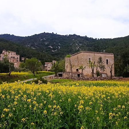 El Castell De Seguero Apartment Beuda Екстериор снимка