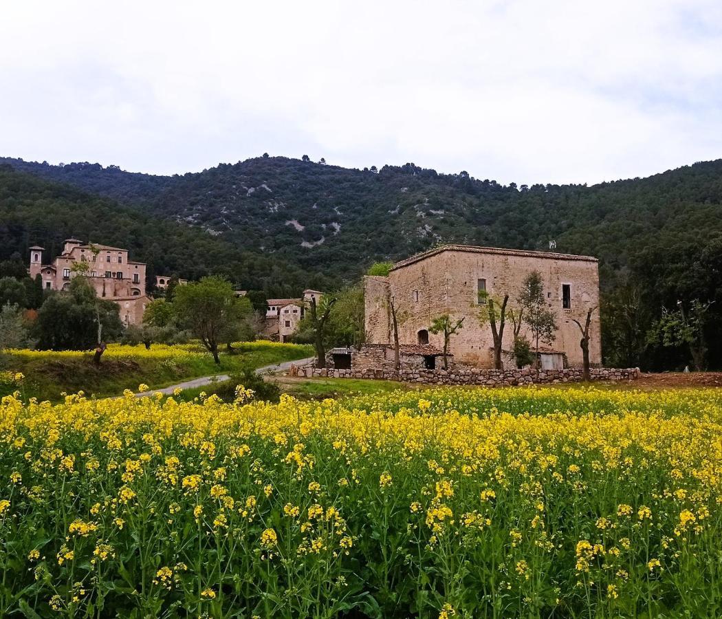 El Castell De Seguero Apartment Beuda Екстериор снимка